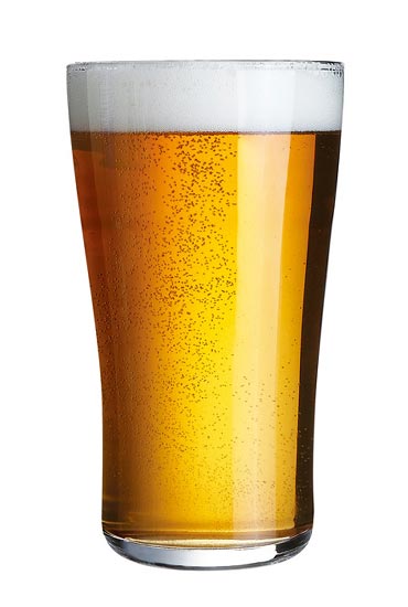 Sexy Cat American Pale Ale